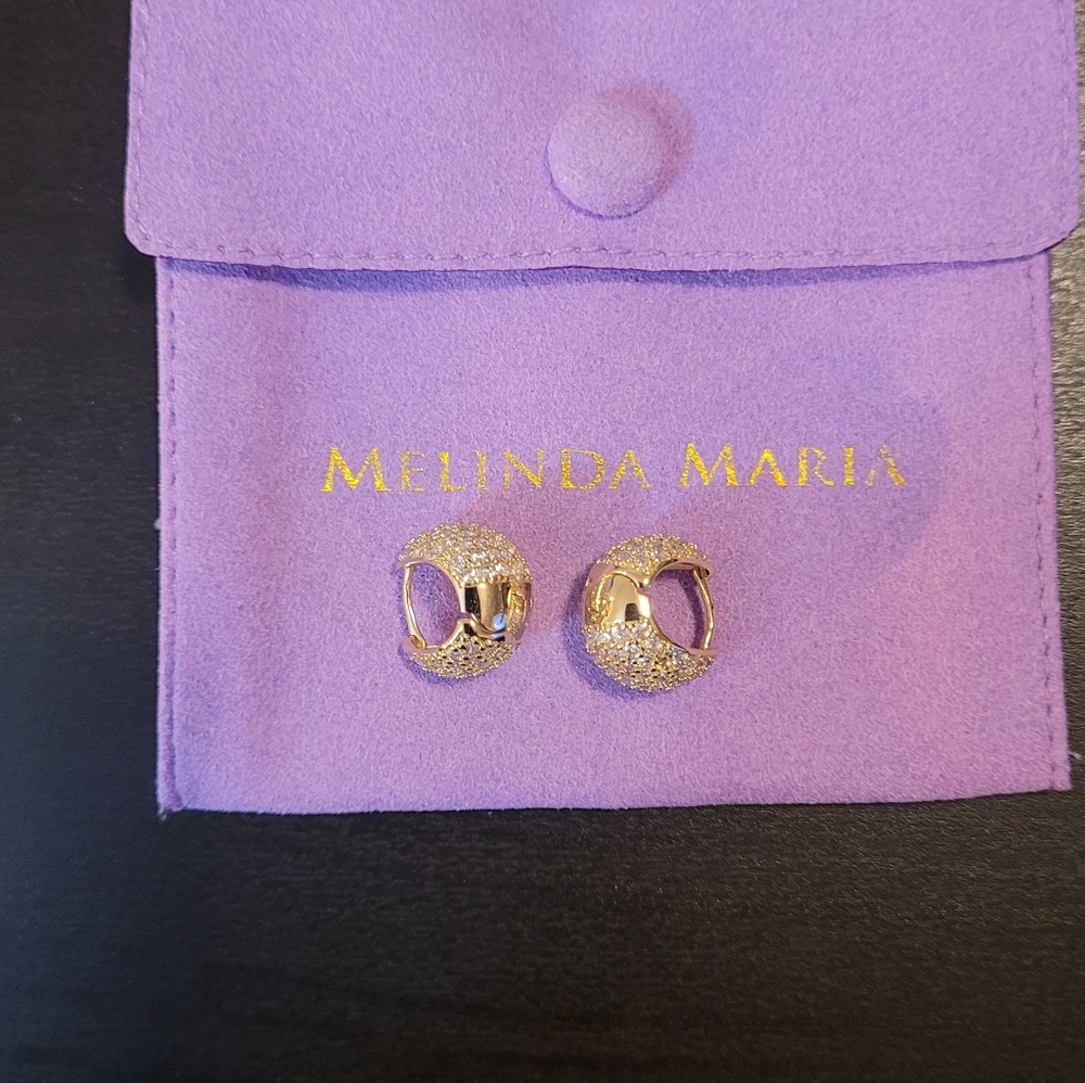 Pave Earrings in Gold and White - Picture 8 of 11